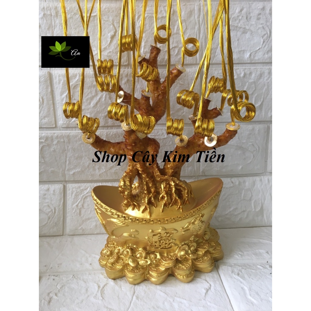 Nguyên liệu cây kim tiền phát tài phát lộc Thỏivàng 20 nhánh( bộ đầy đủ), gốc gắn sẵn xu và kẽm