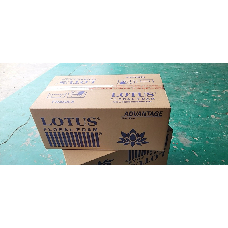 XỐP CẮM HOA TRANG TRÍ OASIS - LOTUS