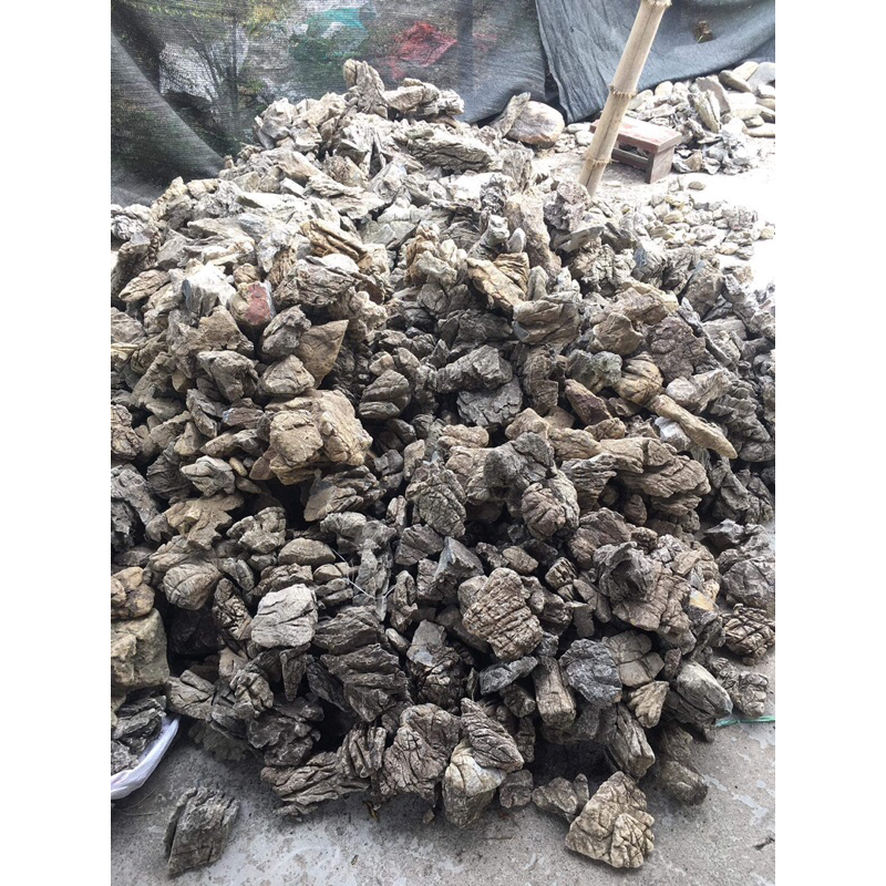 Đá Da Voi Thủy Sinh
