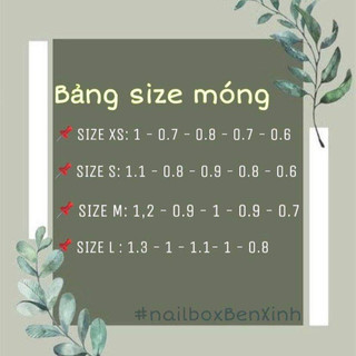 NAILBOX THIẾT KẾ THỦ CÔNG NHẸ NHÀNG 2024