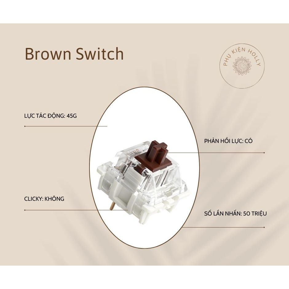 Switch bàn phím cơ RK, Blue Switch, Red Switch, Brown Switch, Black Switch dùng để thay trục phím cơ