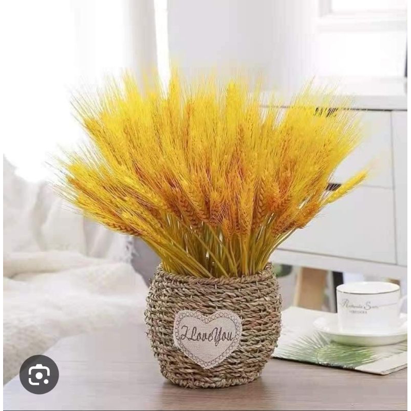 LÚA MẠCH TRANG TRÍ 🌸