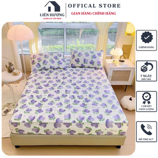Bộ ga giường và vỏ gối trần bông cotton đũi mềm mịn thoáng mát, ga gối chần bông cotton dày dặn thoáng mát