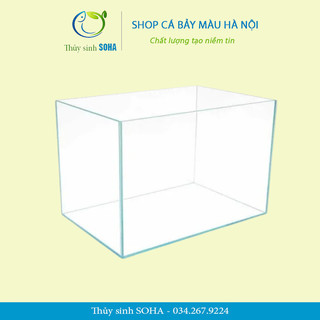 Bể cá siêu trong 35-40cm | bể cá mini | bể cá văn phòng