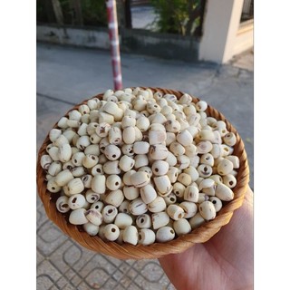 Hạt sen khô sỉ 500kg / lẻ 100gr. minh phát cam ranh