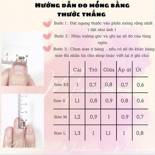 nail box from bầu nhọn