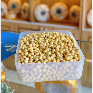 Hộp trữ ngăn đông 3.1L Tupperware