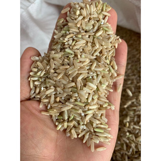 Gạo Lứt Sén Cù (Đặc Sản Tây Bắc) - 10kg