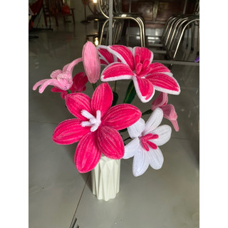 Hoa Ly kẽm nhung