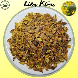 Liên Kiều Vàng, 50g quả chín phơi khô, hàng loại 1