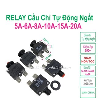 Relay Cầu chì tự động ngắt 5A 6A 8A 10A 15A 20A 25A - Linh kiện Điện tử QUỲNH DIỄN