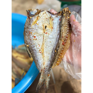 KHÔ CÁ CHÉT XẺ ƯỚP VỪA ĂN