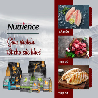 Hạt Nutrience SubZero cho chó mọi lứa tuổi 5kg – Furiends