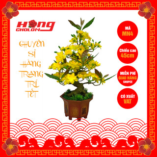 Cây hoa mai bonsai giả trang trí tết MN4 cao 45cm