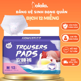 Băng vệ sinh dạng quần bịch 12/30 miếng size SMLXL