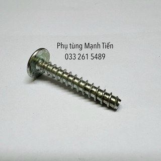 Vít tự ren 5*30mm ( XB8.1)