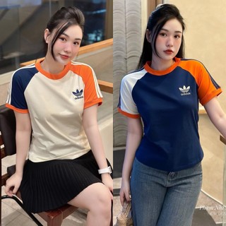 ÁO THUN IN (KÈM VIDEO HÌNH THẬT)