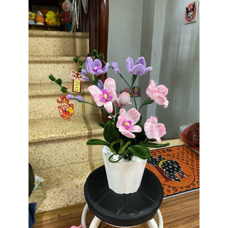 chậu hoa lan tím kẽm nhung