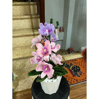 chậu hoa lan tím kẽm nhung