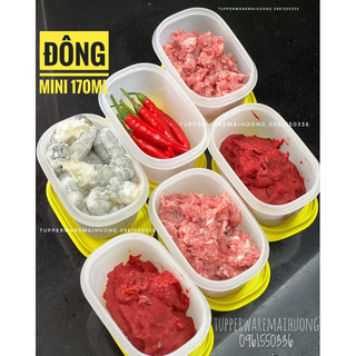 Hộp trữ đông Gen II 170ml Tupperware