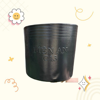 Chậu nhựa đen mềm trồng cây c13