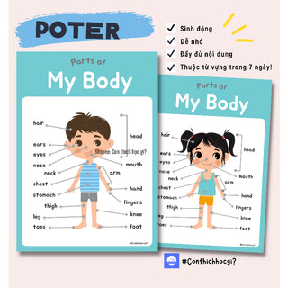 Poster Bộ phận cơ thể người - Học liệu tiếng anh dễ nhớ