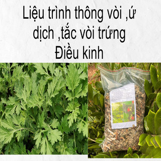 Liệu trình thông vòi trứng ,điều kinh
