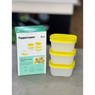 Set 6 hộp đông dẻo mini 170ml Tupperware