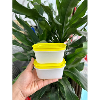 Set 6 hộp đông dẻo mini 170ml Tupperware