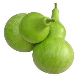 hạt giống bầu hồ lô 5 hạt