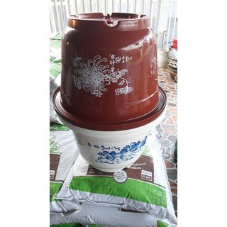 Combo giá sĩ 40.cái chậu nhựa in tranh a410 rộng 30cm cao 24cm trồng cây và hoa kiểng