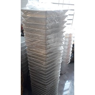 Combo 10 chậu nhựa  trồng cây lục giác  phúc lộc thọ cao 30cm rộng 27cm