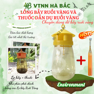 Lồng Bẫy Ruồi Vàng và Thuốc Dẫn Dụ Ruồi Vàng, Dụng cụ bẫy diệt ruồi vàng -