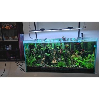 Mạch đèn led 5054 thủy sinh wrgb ( 5in1 +uv)