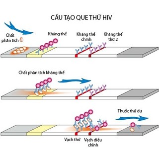 Test nhanh viêm gan C HCV dạng que 4 mm