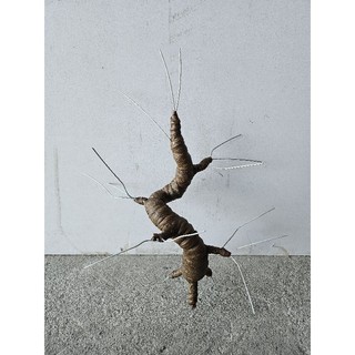 Thân bonsai giả làm gốc Mai, Đào 55k