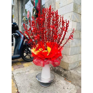Nụ tầm xuân khô cao 80-1m❤️hoa cắm ngày tết , trang trí nhà cửa