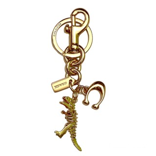 Charm Khủng Long Coach