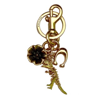 Charm Khủng Long Coach