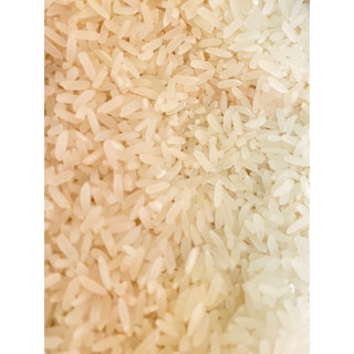 Gạo đài thơm tám 10kg