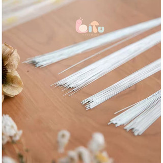 Kẽm si làm cành, lá 80cm | 5 cành