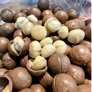 500g Macca nứt vỏ size đại [Thảo Mộc Food]