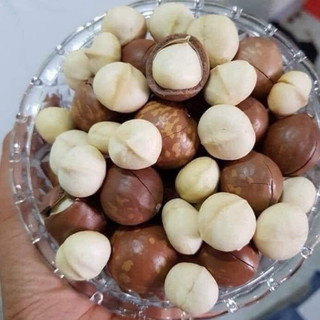 500g Macca nứt vỏ size đại [Thảo Mộc Food]