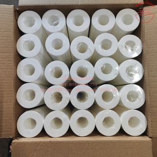 25 lõi lọc thô 20 inch nesca