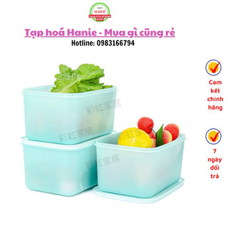 Set 4 hộp tupperware đông dẻo gen ii 2,5l chính hãng