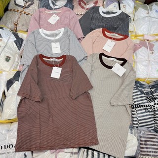 Áo Thun Cotton Trơn Cổ Tròn Thiết Kế Sọc Ngang Thời Trang - Nhím Xù Shop