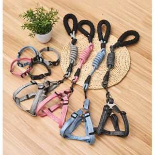 [HÀNG SẴN - HỎA TỐC 2H] Dây dắt Lna cho chó mèo kèm yếm cao cấp