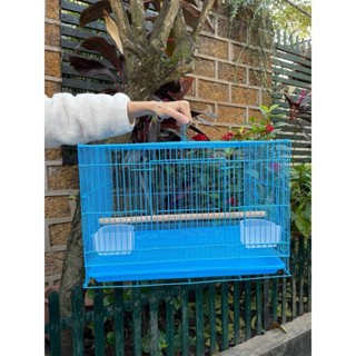 Lồng chứa chim lồng tập lực cho chim lồng tập trung