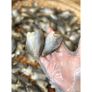 KHÔ SẶC ĐỒNG ( sặc RUỘNG )