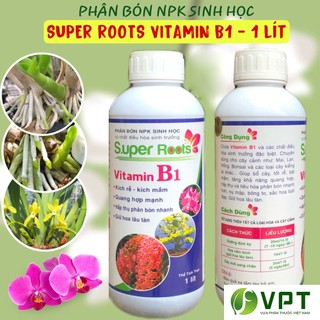 Vitamin b1 super roots chai 1 lít – kích rễ, kích mầm, giữ hoa lâu tàn phân bón sinh học có chất điều hòa sinh trưởng
